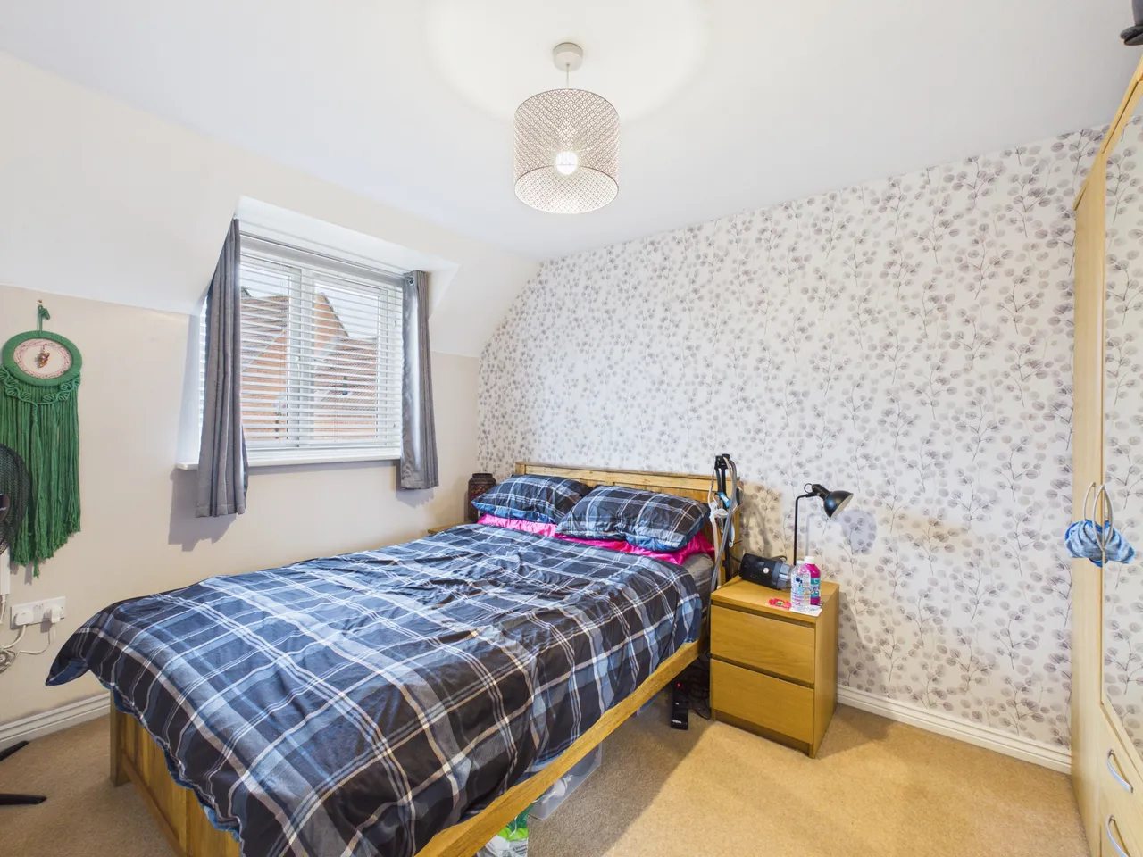 Cridlands Meadow, Bridgwater, photo 10