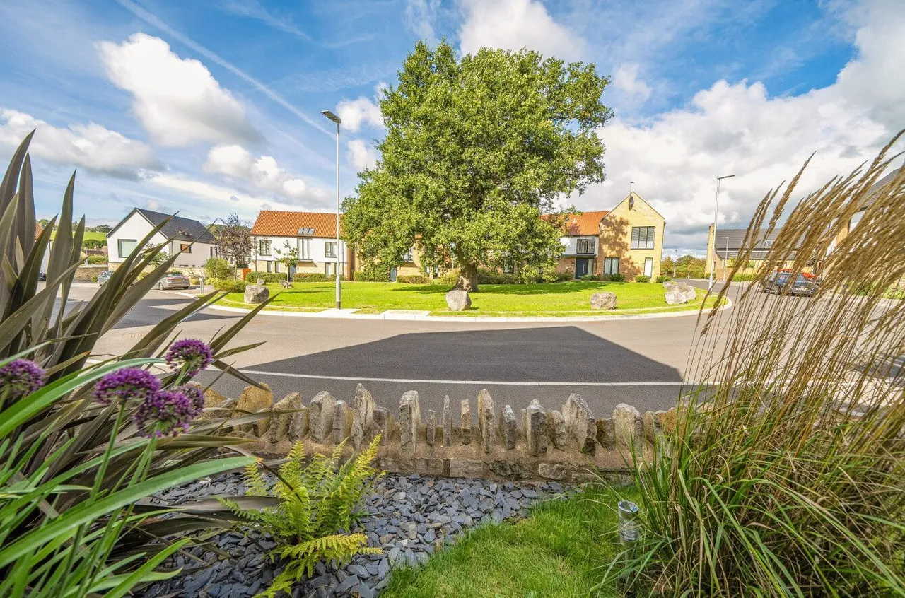 Cross Farm Green, Wedmore, BS28, photo 31
