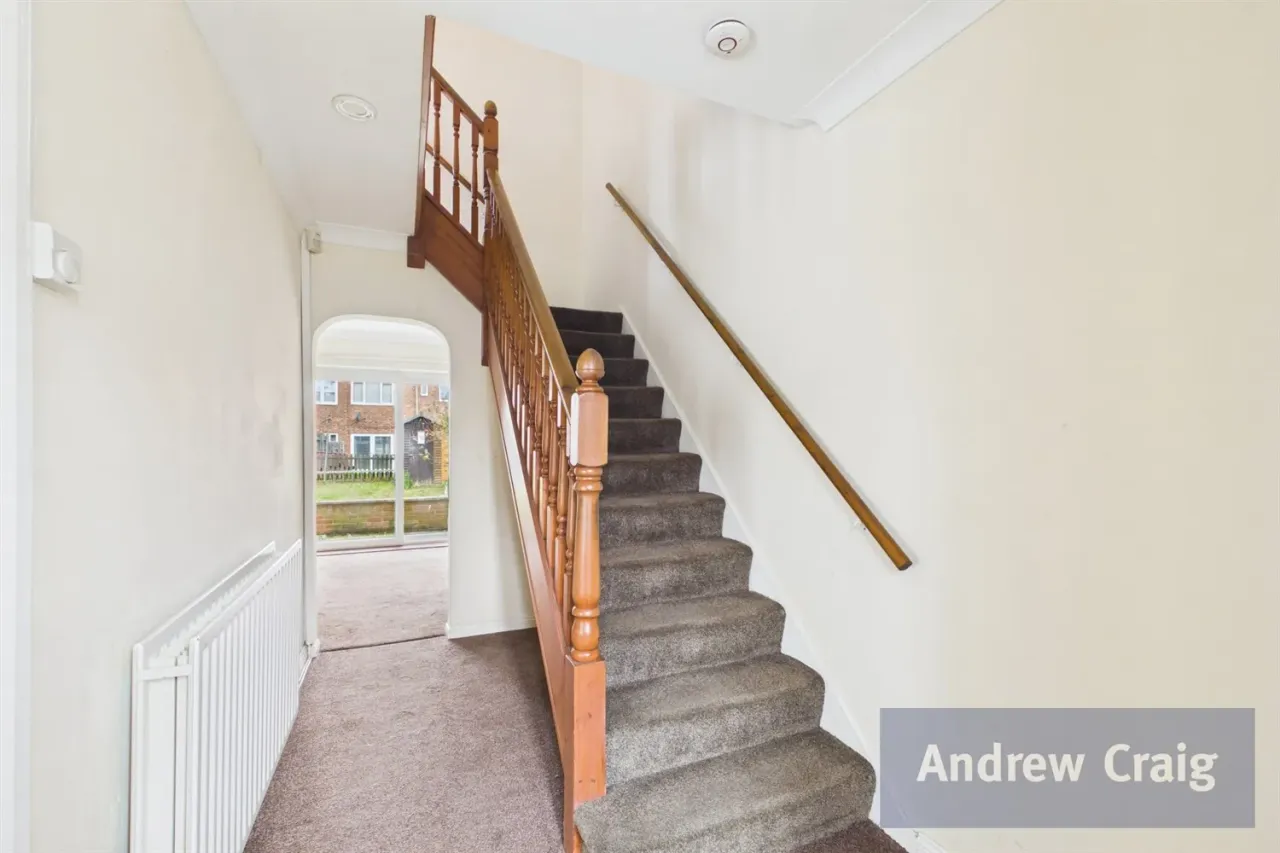Auckland Avenue, South Shields, NE34, photo 5
