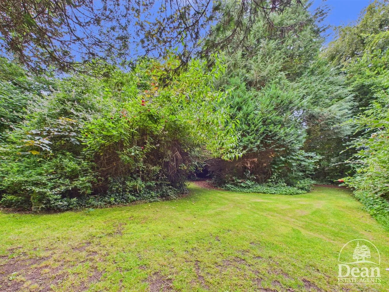 Cinderhill, Coleford, GL16, photo 27