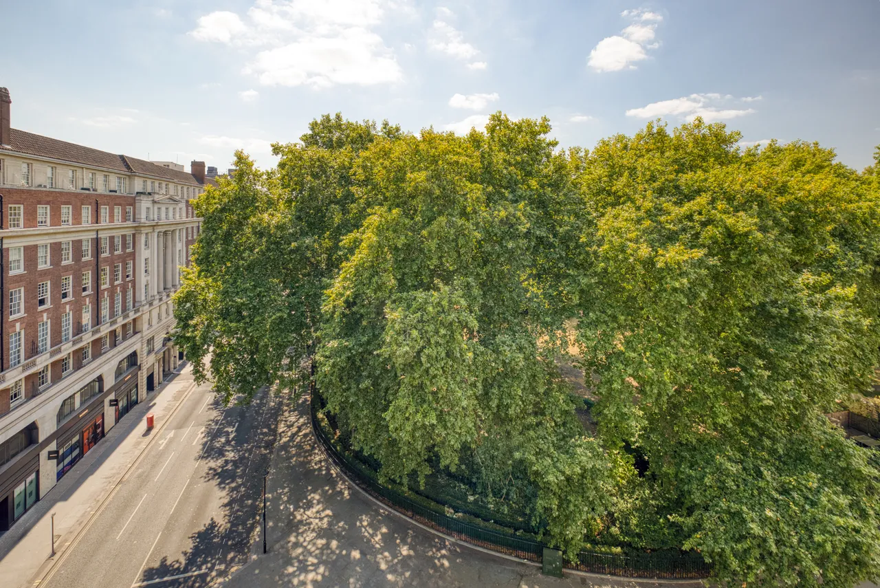 Fitzhardinge House, Portman Square, Marylebone, London, photo 10