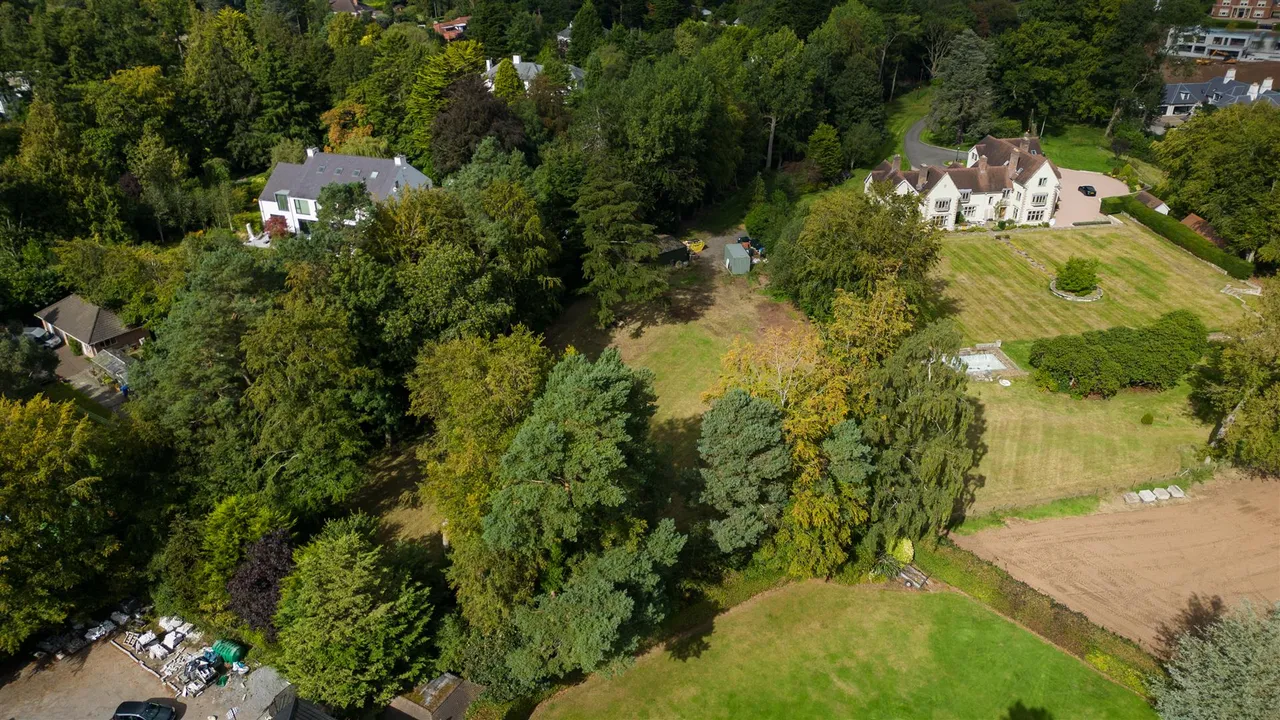 Upper Malone Road, Belfast, BT17, photo 23