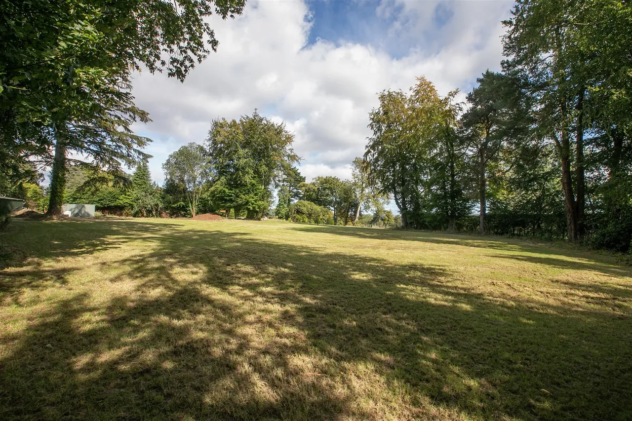 Upper Malone Road, Belfast, BT17, photo 11