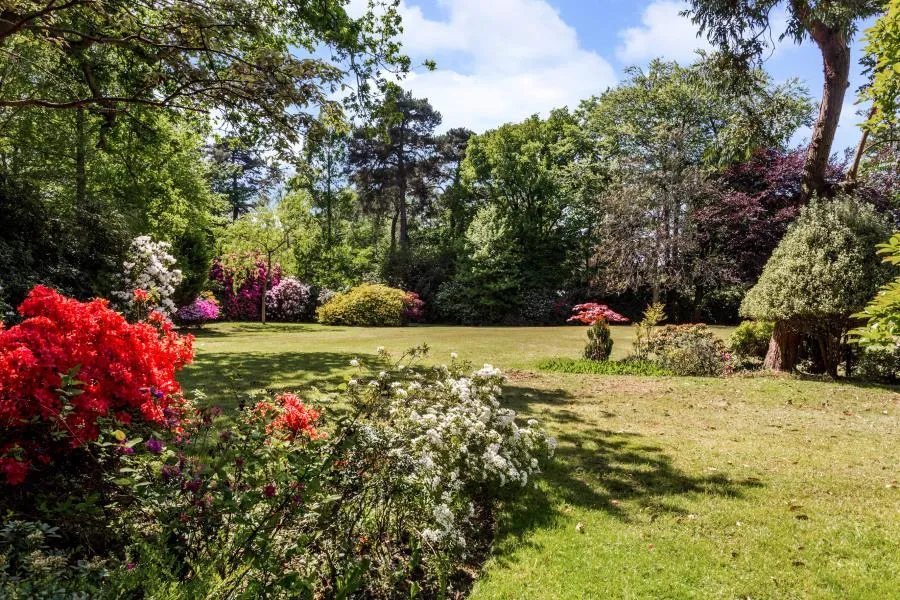 Virginia Water, GU25 4JR, photo 6
