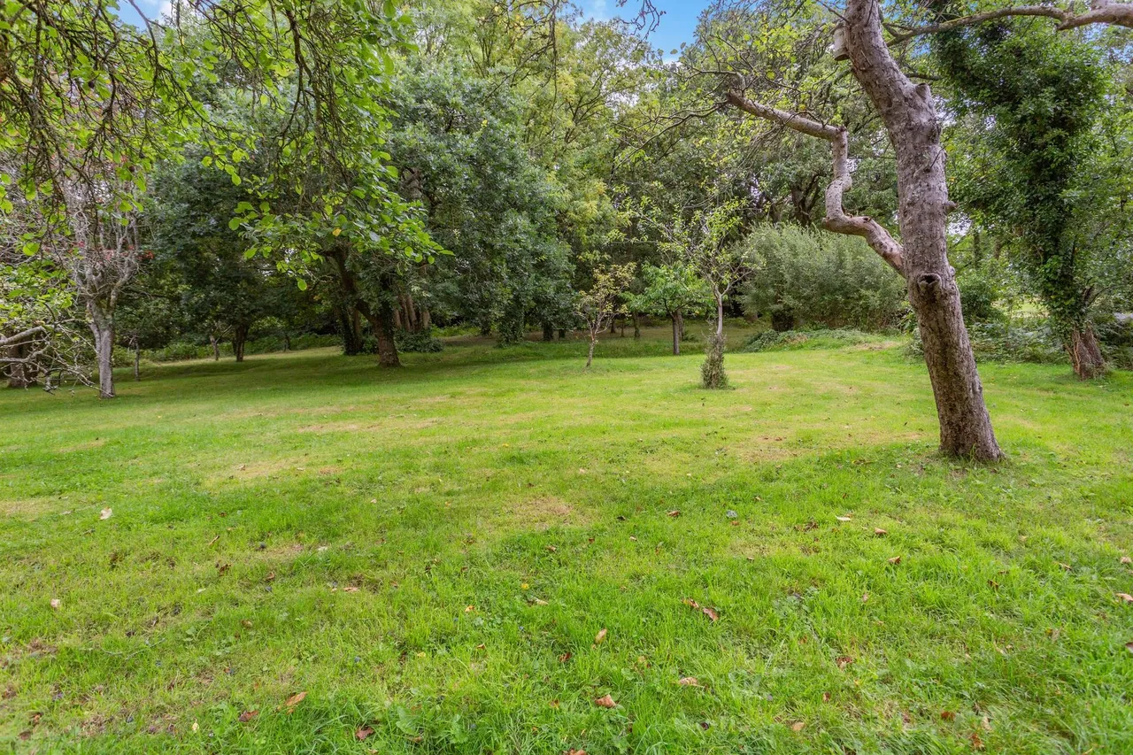 Hewelsfield, Lydney, GL15, photo 18