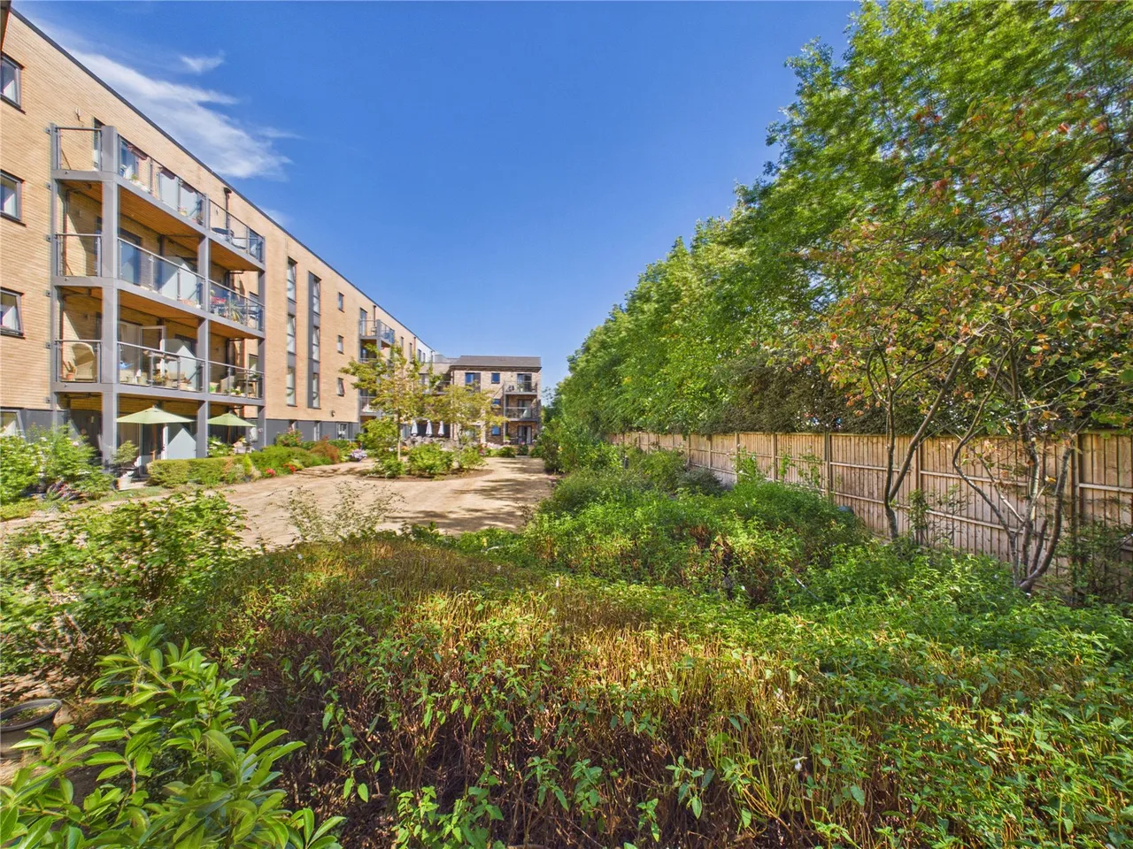 Princes Road, Chelmsford, CM2, photo 12
