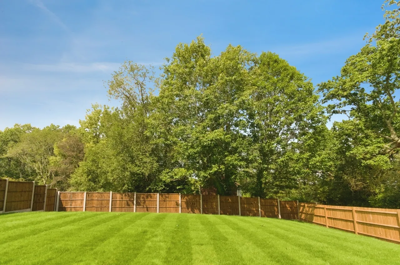 North Trade Road, Battle, TN33, photo 11