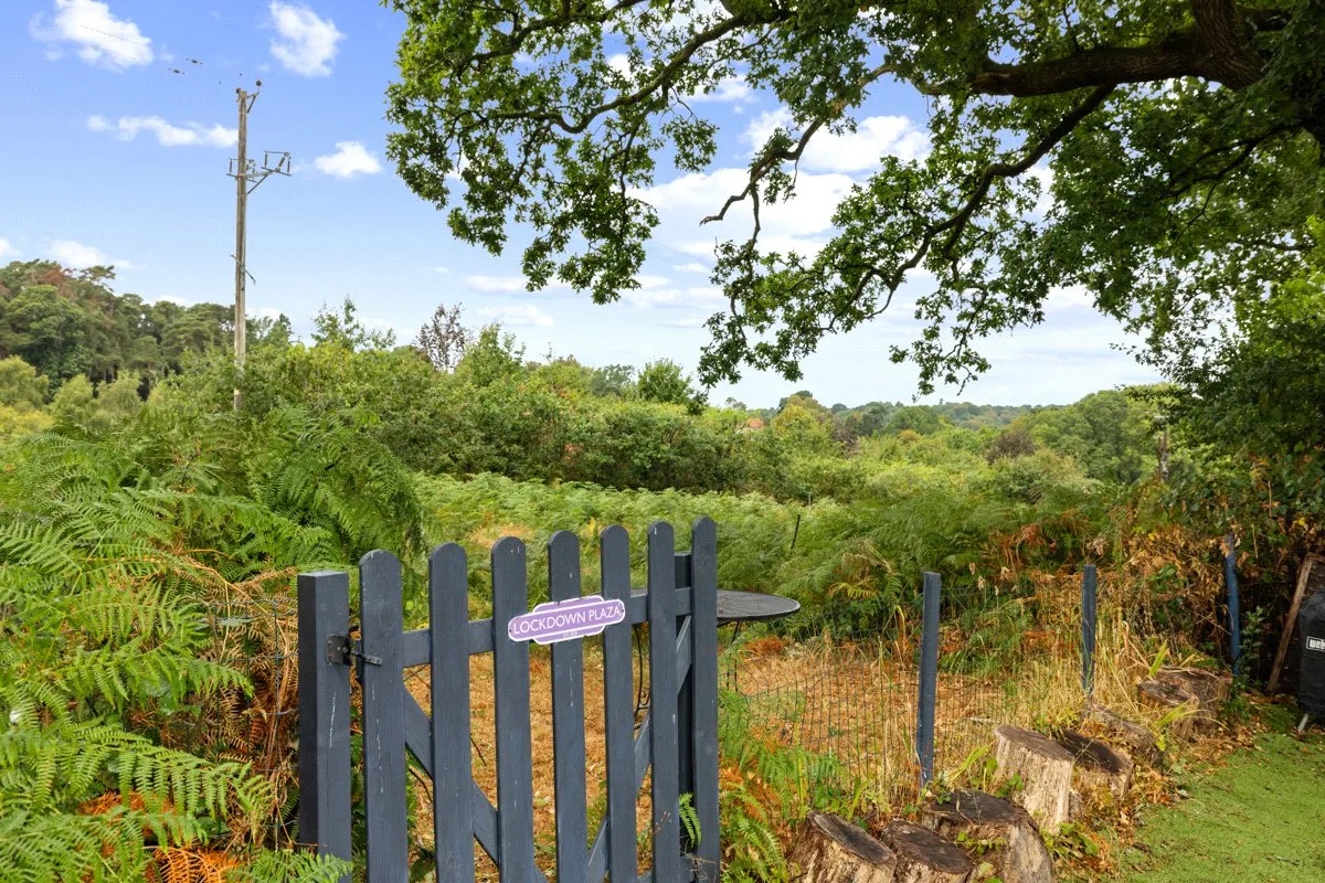 Marley Lane, Haslemere, GU27, photo 5
