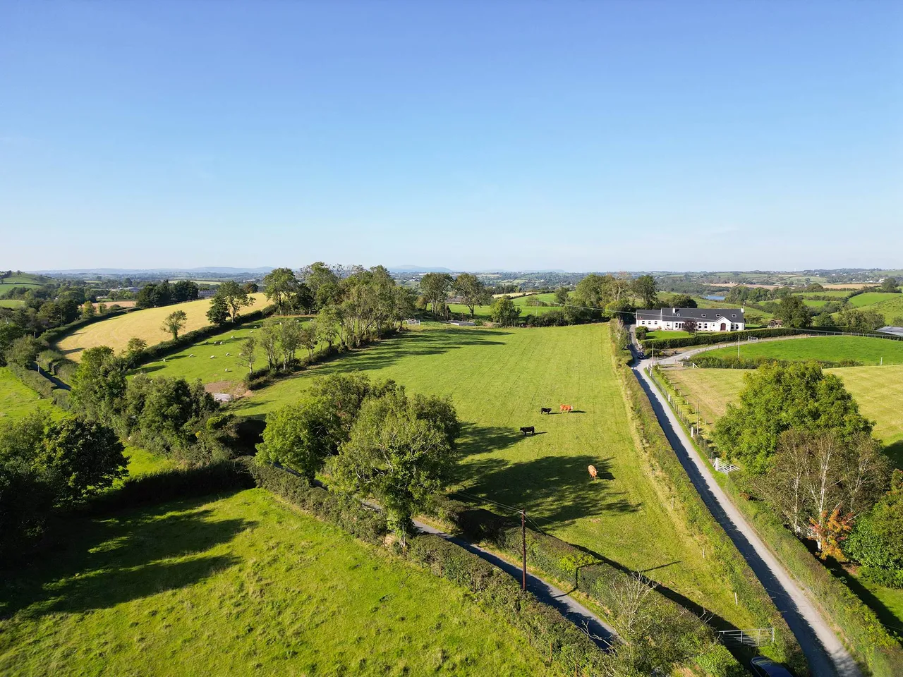 Hillside Road, Ballynahinch, BT24, photo 6