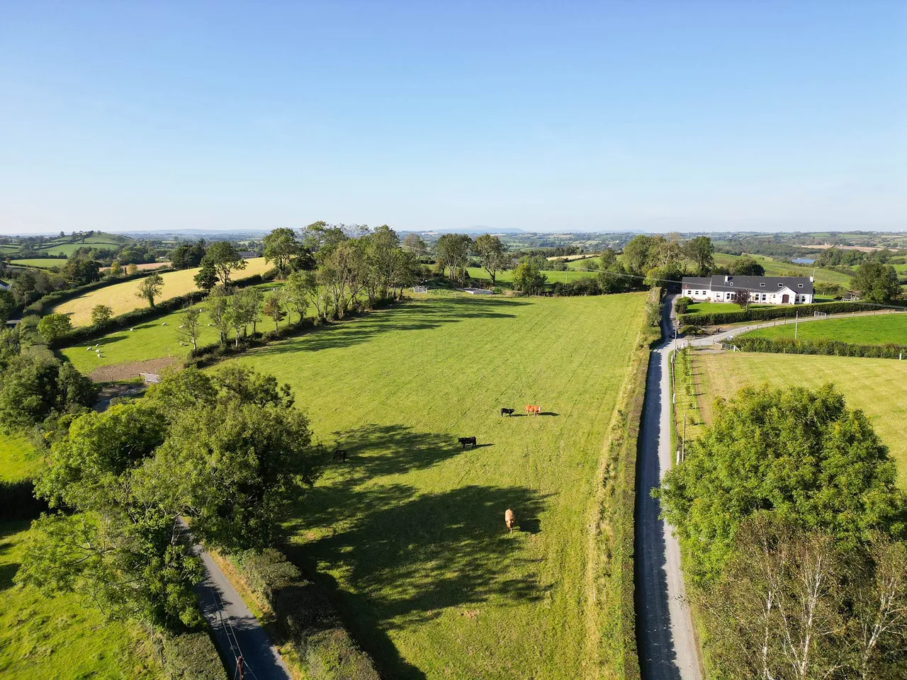 Hillside Road, Ballynahinch, BT24, photo 3
