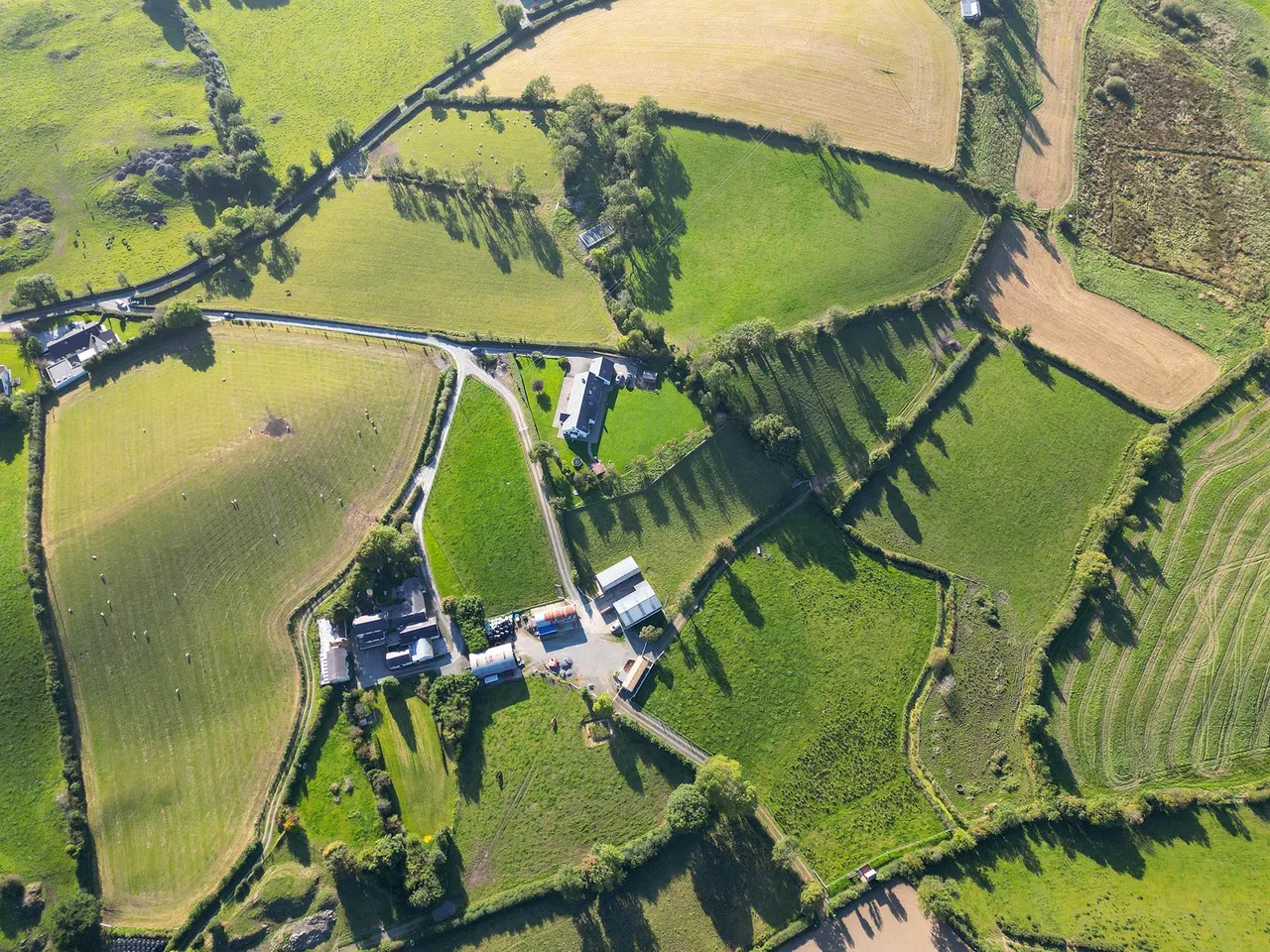 Hillside Road, Ballynahinch, BT24, photo 7