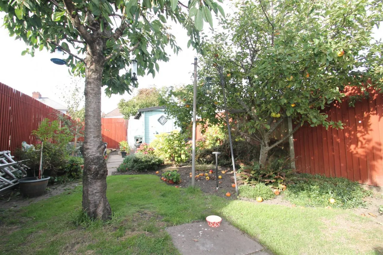 Newbury Lane, Oldbury, photo 17