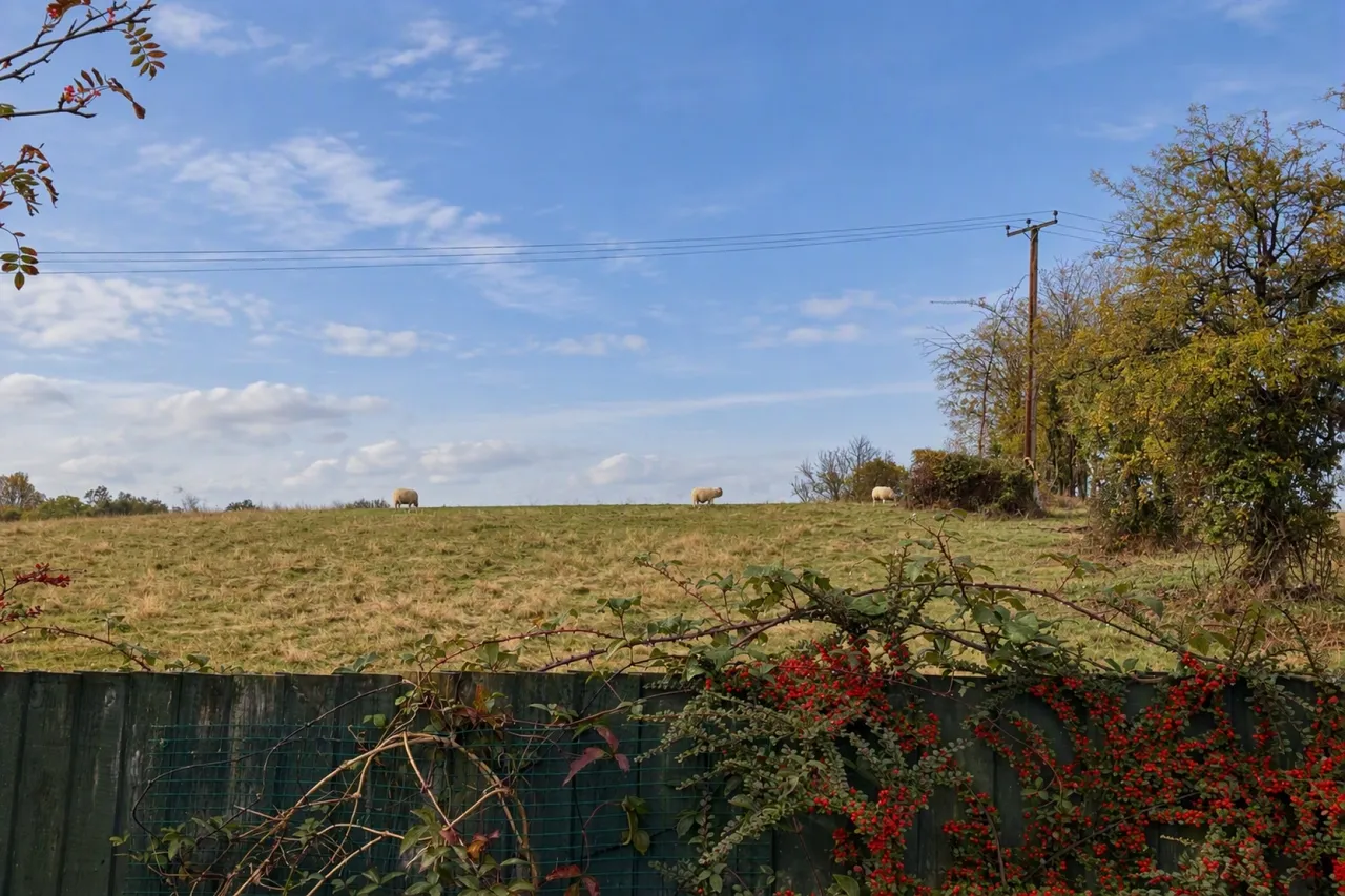 Priory Gardens, Easton-in-Gordano, BS20, photo 2