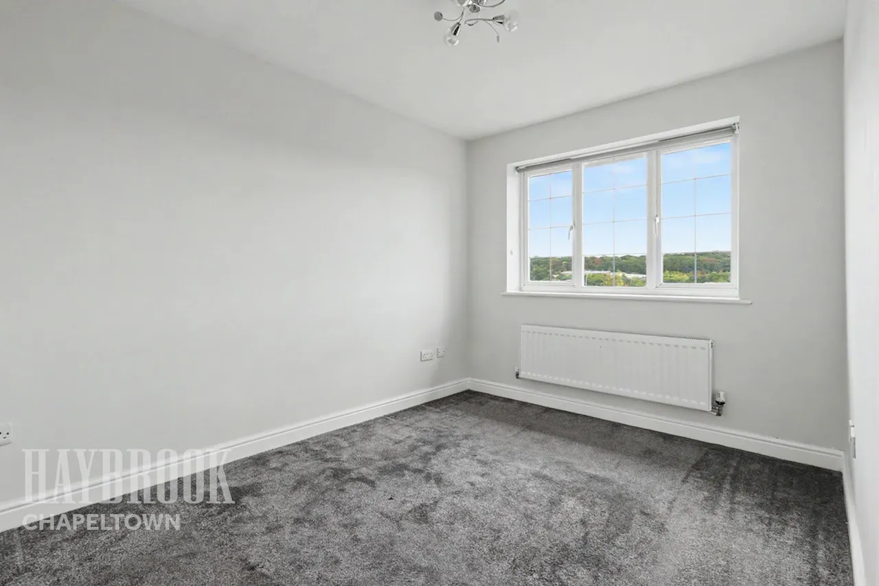 Ironstone Drive, Chapeltown, photo 16