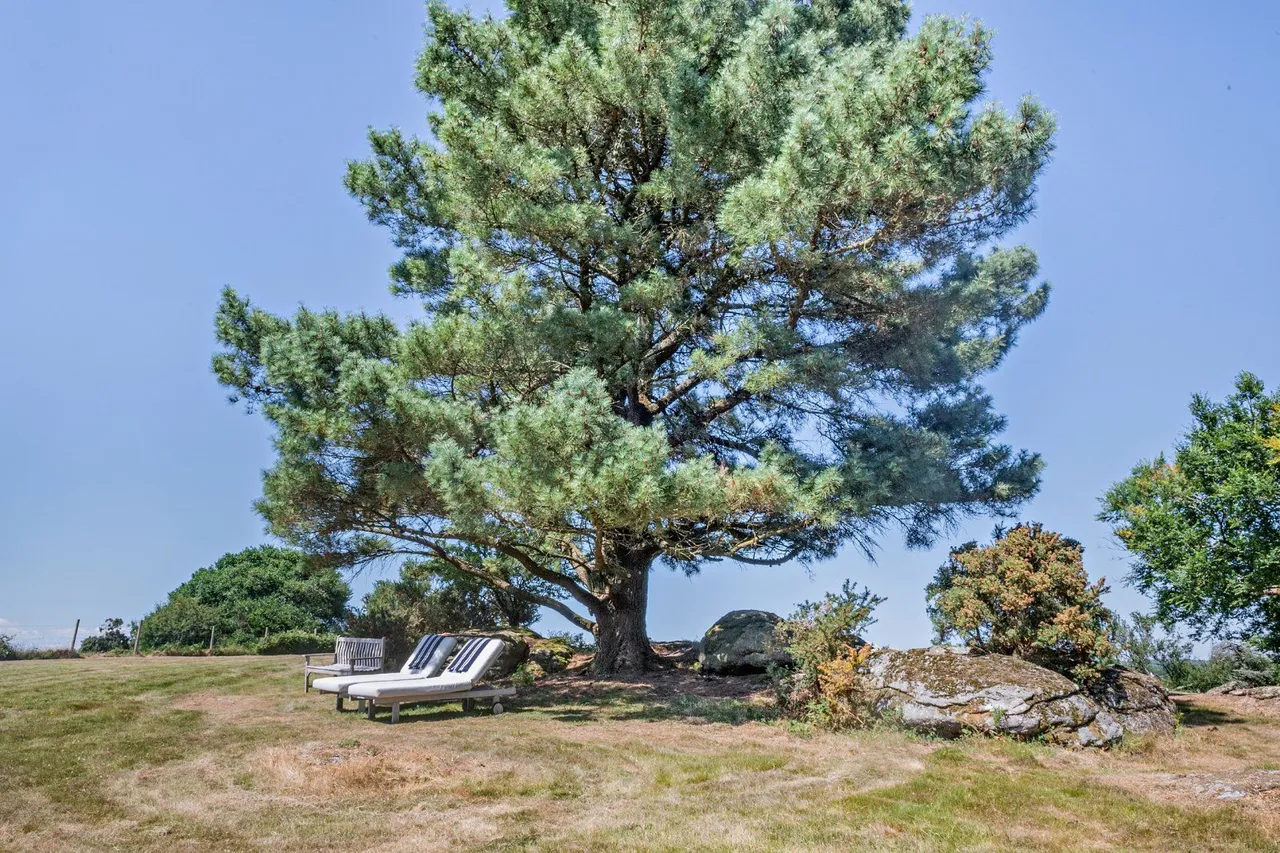 North Bovey, Newton Abbot, TQ13, photo 17