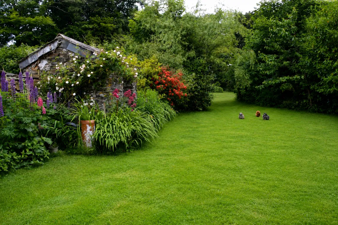 Uphill, Callington, Cornwall, PL17 7PB, photo 25