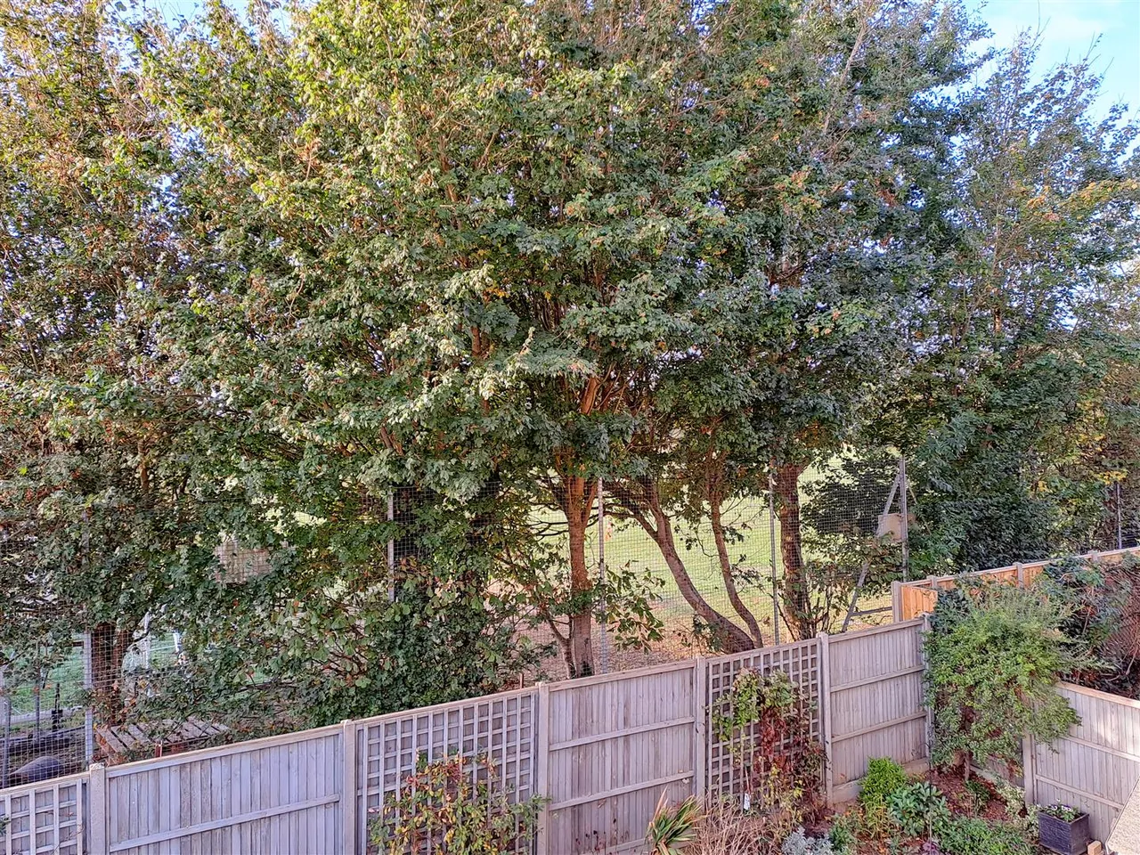 Jubilee Avenue, Rustington, photo 11