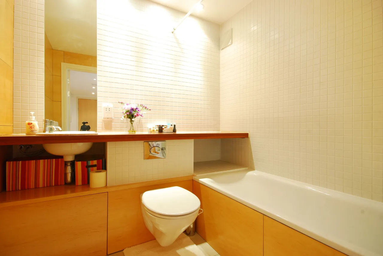 105 Faraday Lodge, Renaissance Walk, London, photo 12
