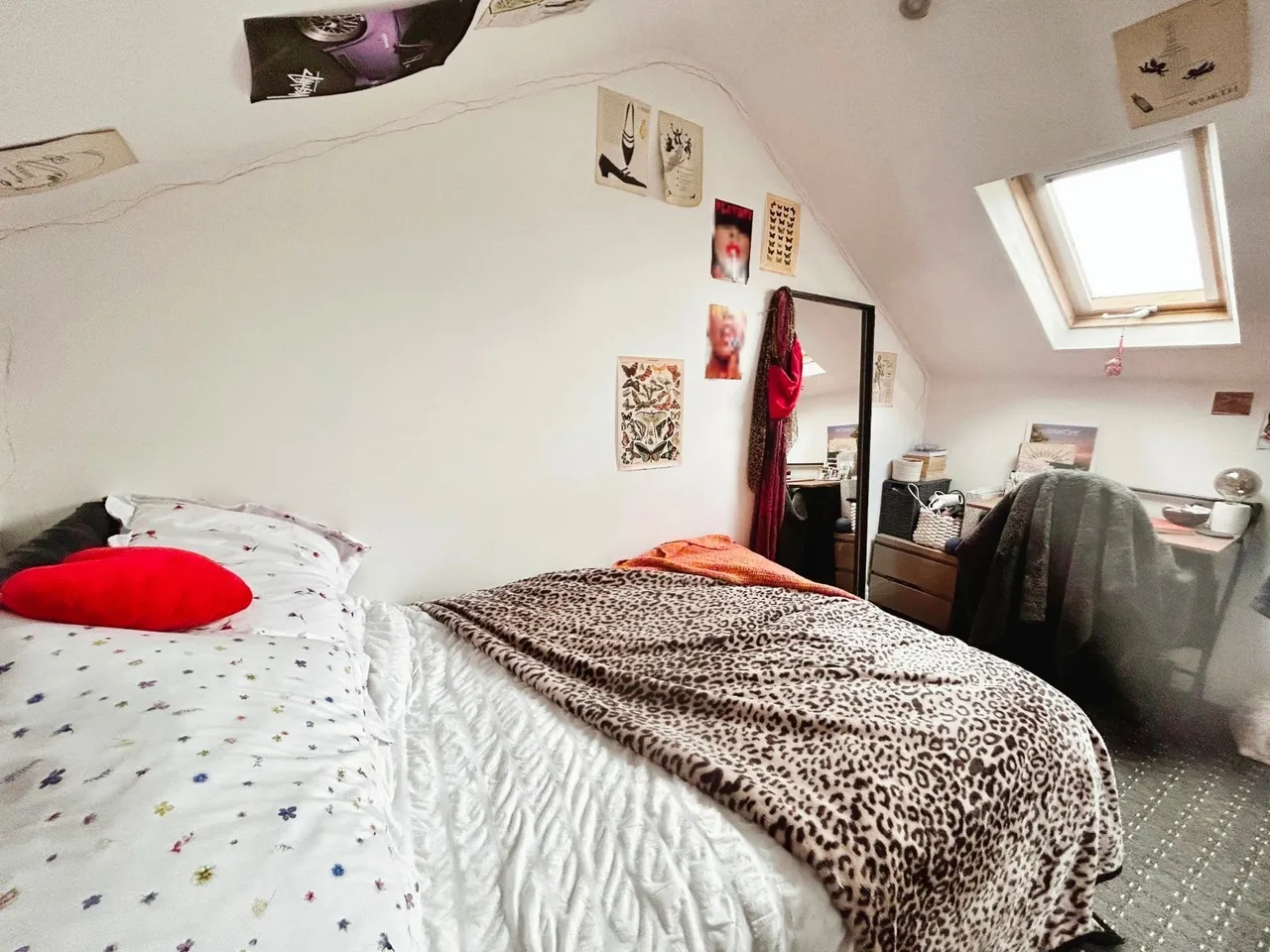 Thorn Grove, Manchester, M14, photo 4