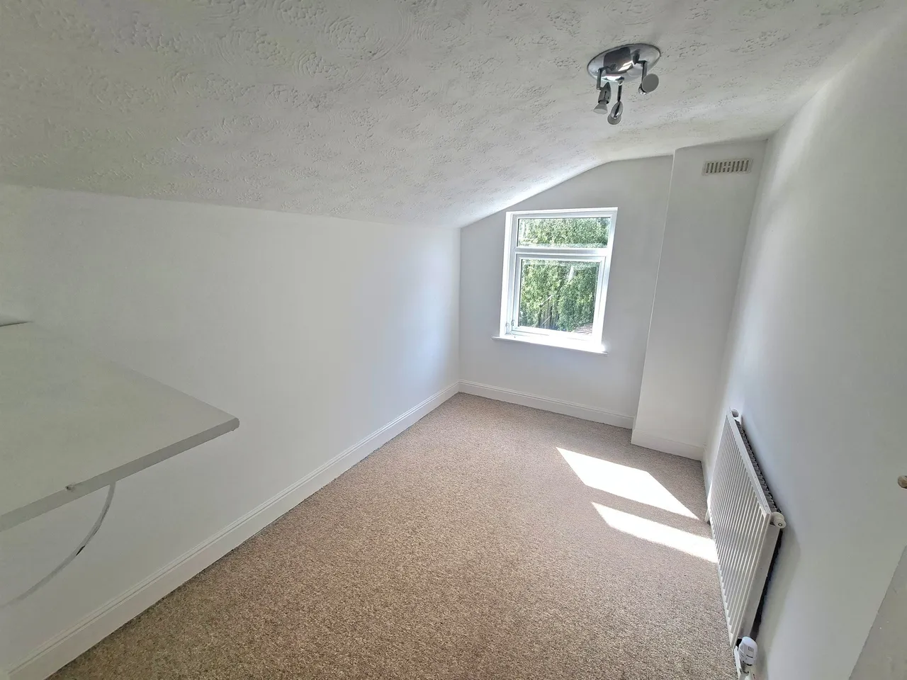 Palmerston Road, Peterborough, photo 9