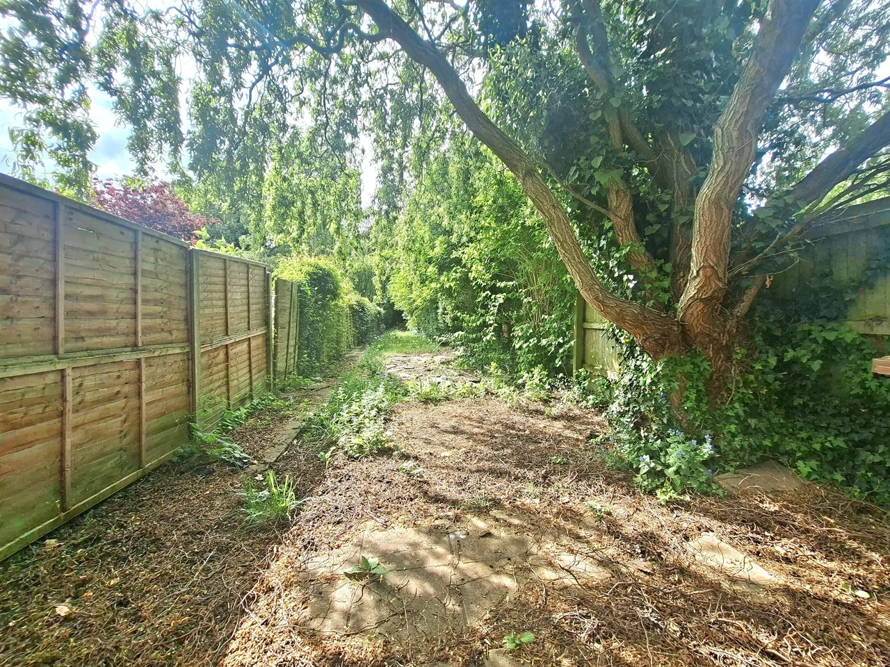 Palmerston Road, Peterborough, photo 10