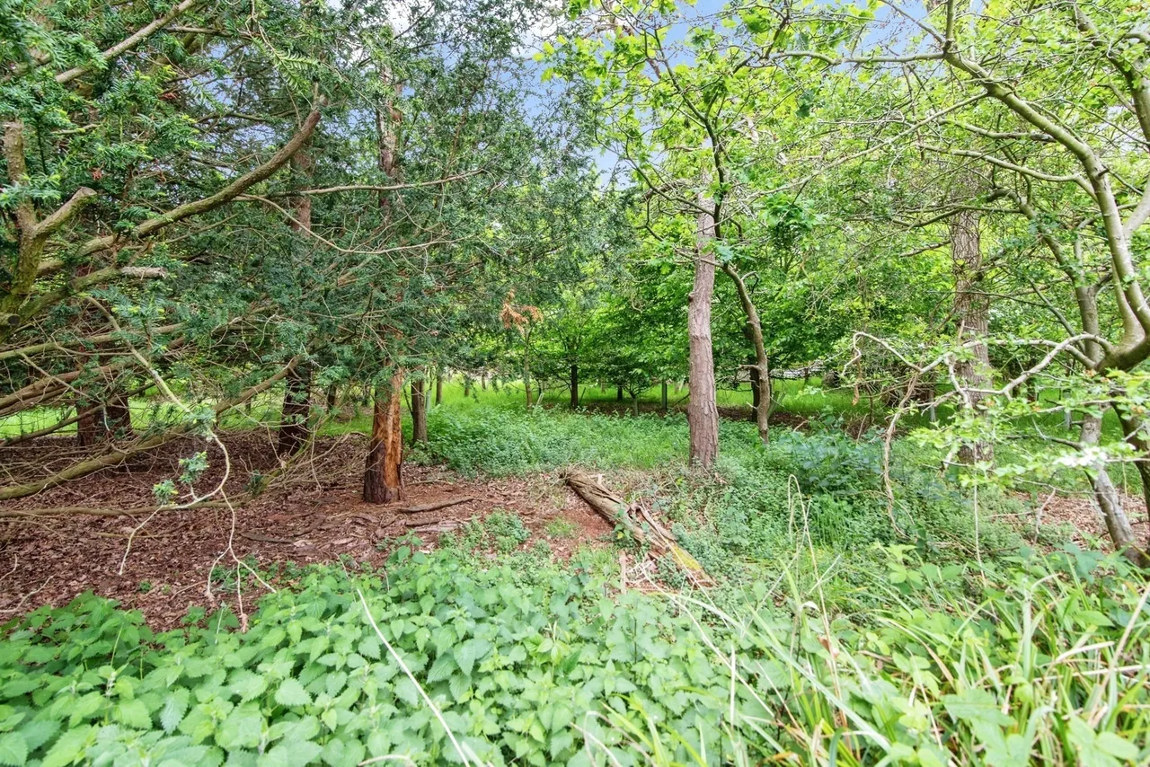 Fritton Lakes, Fritton, NR31, photo 20