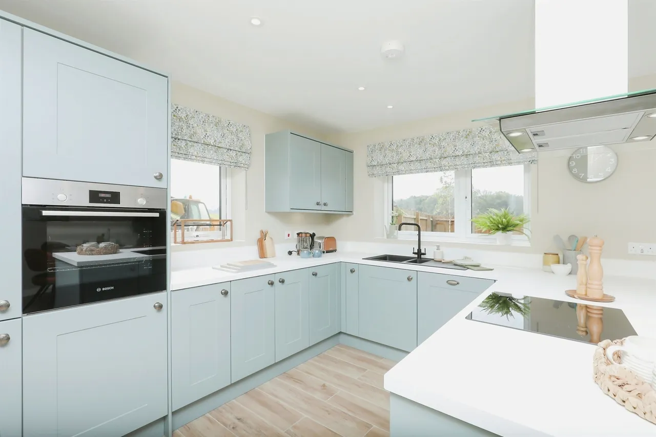 Cygnet Rise, Swaffham, photo 7