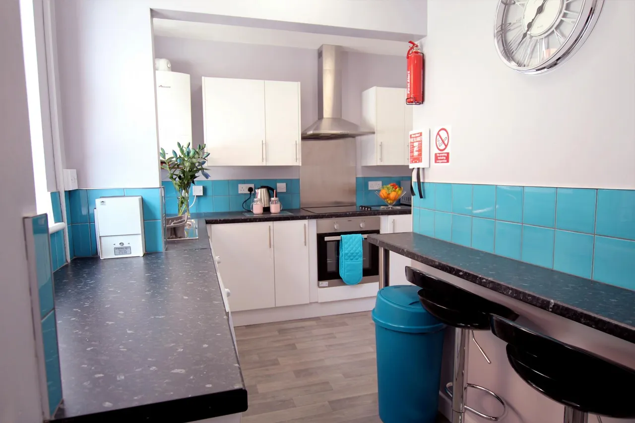 Borough Road, Burton upon Trent, DE14, photo 4