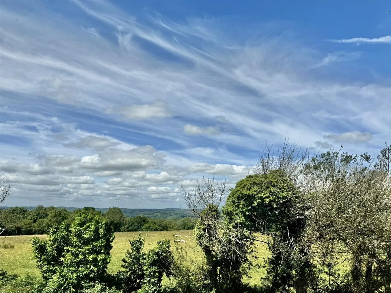 Ridgeway Close, Heathfield, TN21 8NS, photo 13