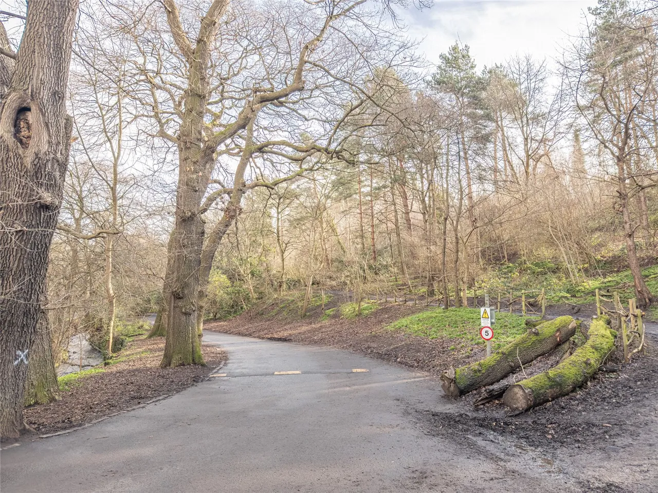 Braid Crescent, Edinburgh, EH10, photo 23