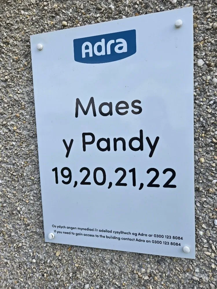 Maes Y Pandy, Llanuwchllyn, photo 9