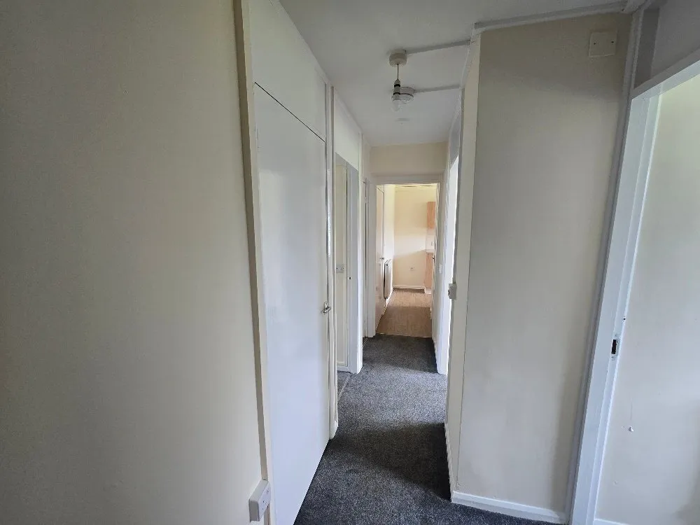 Maes Y Pandy, Llanuwchllyn, photo 8