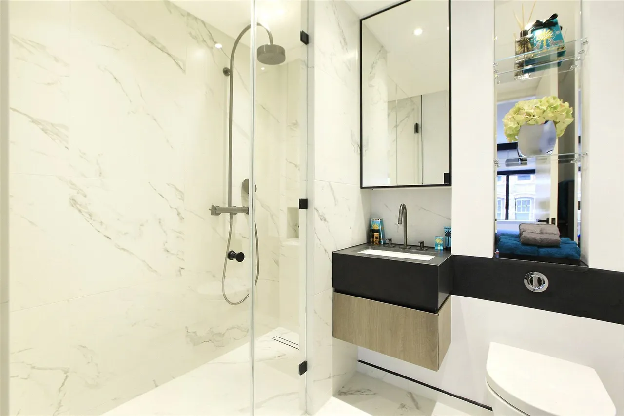 Montserrat Road, Putney, SW15, photo 12