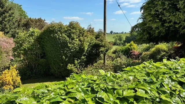 Leys Lane, Bircher, photo 18