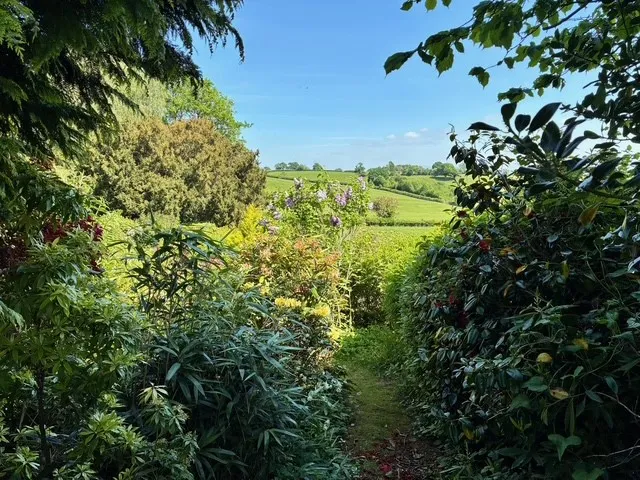 Leys Lane, Bircher, photo 16