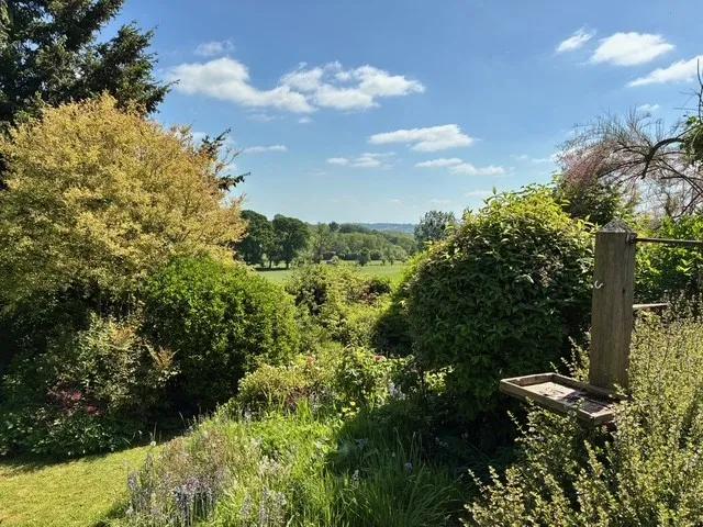Leys Lane, Bircher, photo 13