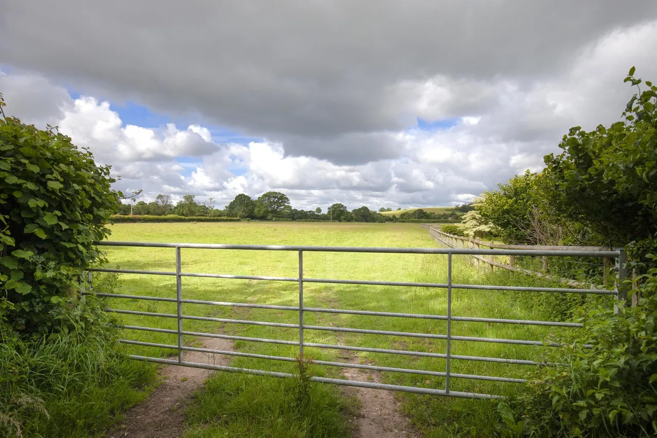West Street, Fontmell Magna, Shaftesbury, Dorset, SP7 0PS, photo 5