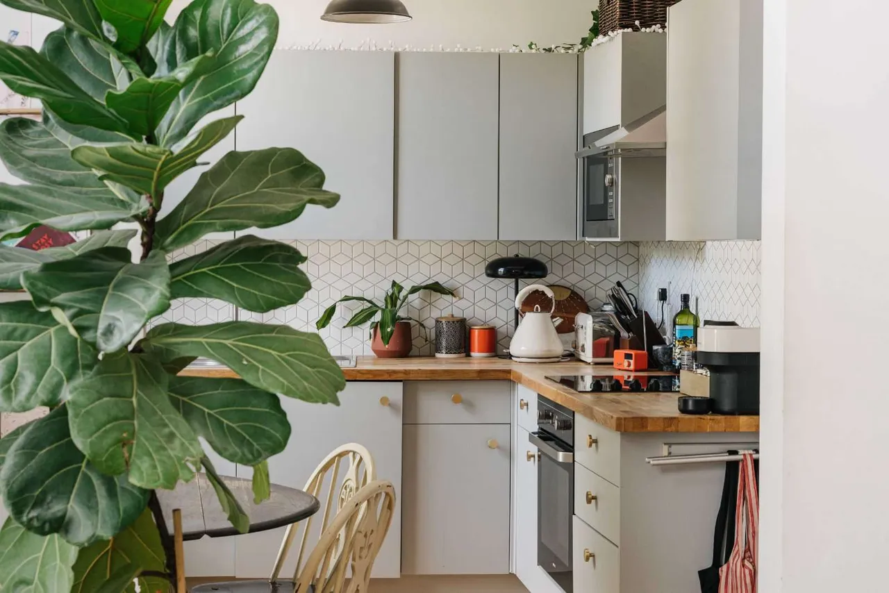 Evering Road, London, E5 8AH, photo 11