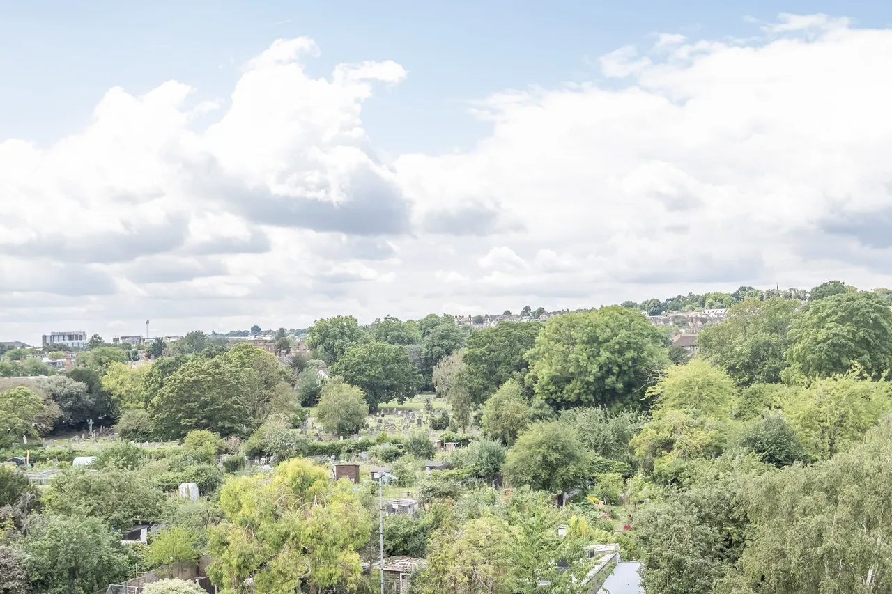 21 Durnsford Road, London, SW19, photo 7