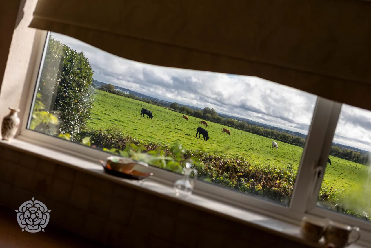 Four Winds Toddington Lane, Haigh, WN2, photo 12