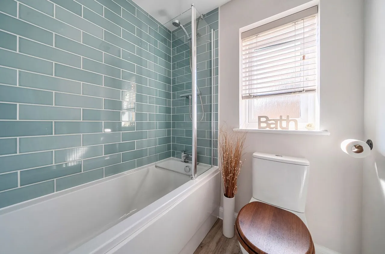 Beauchamp Avenue, Midsomer Norton, BA3, photo 20
