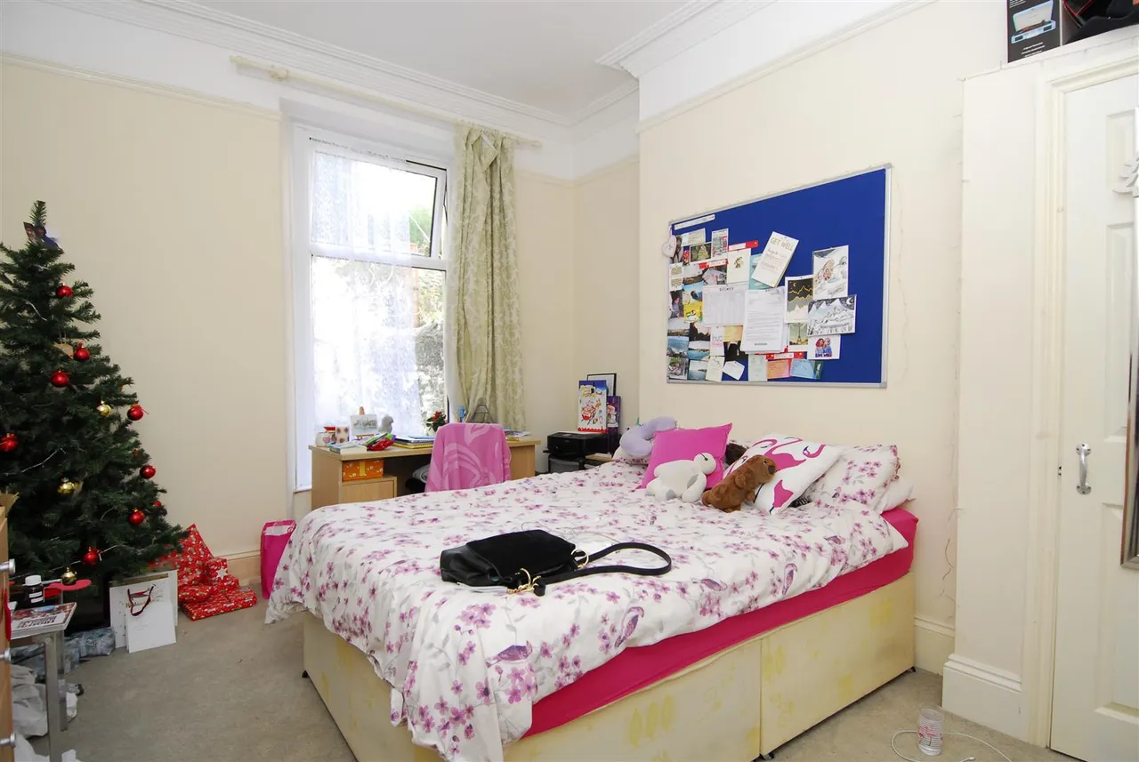 Southern Terrace, Plymouth, photo 7