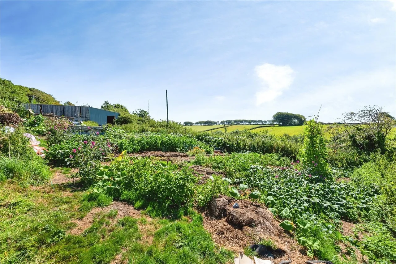 College Road, Camelford, PL32, photo 20