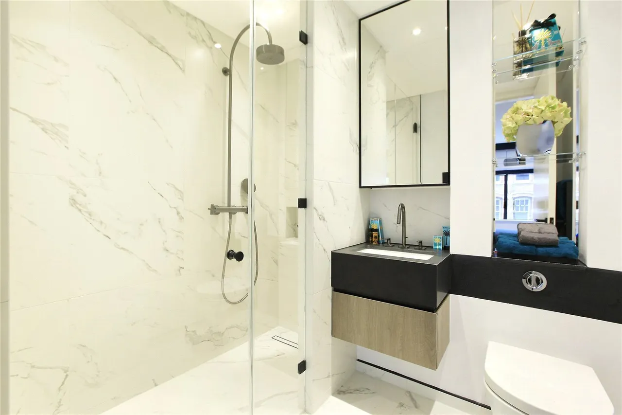 Montserrat Road, Putney, SW15, photo 12