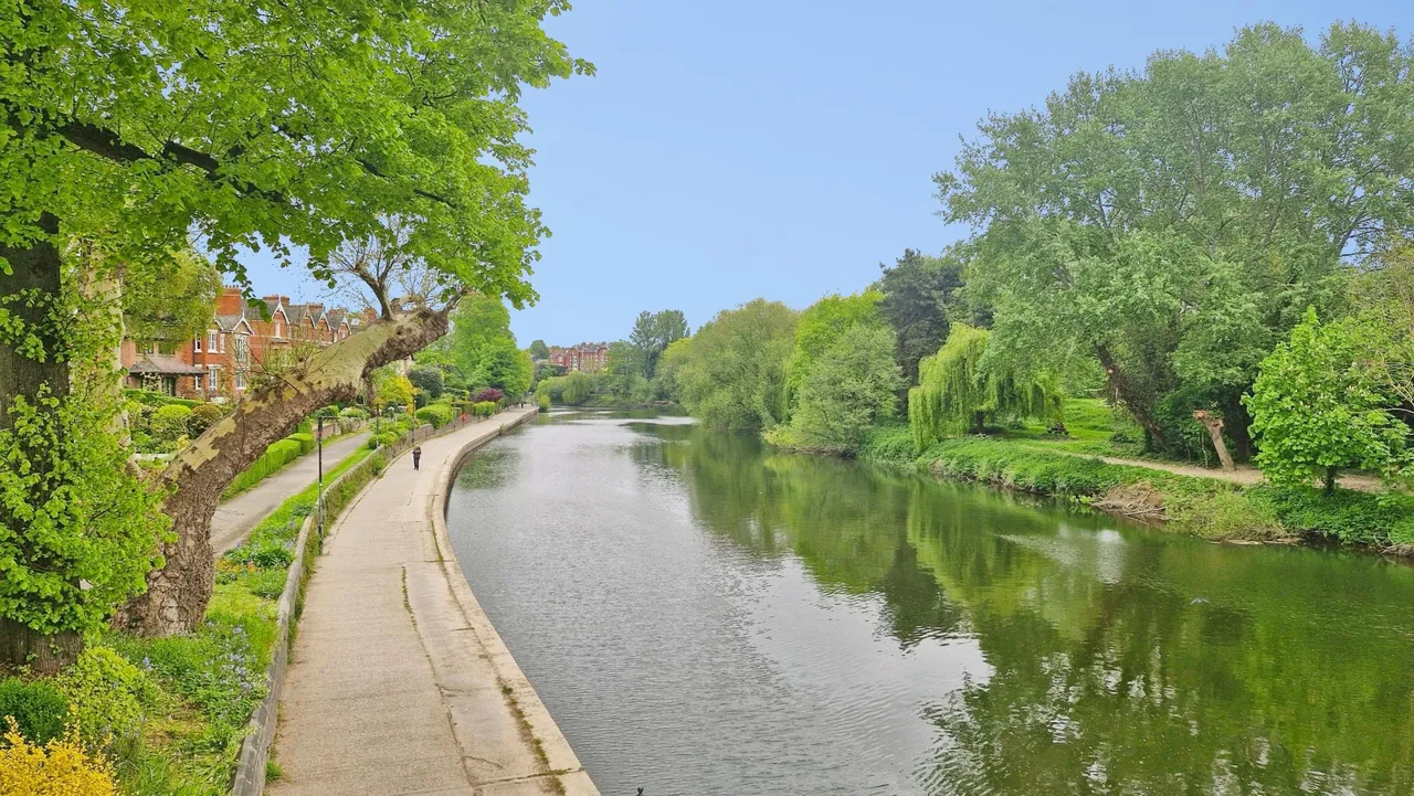 Dorset Street, Shrewsbury, SY1, photo 24