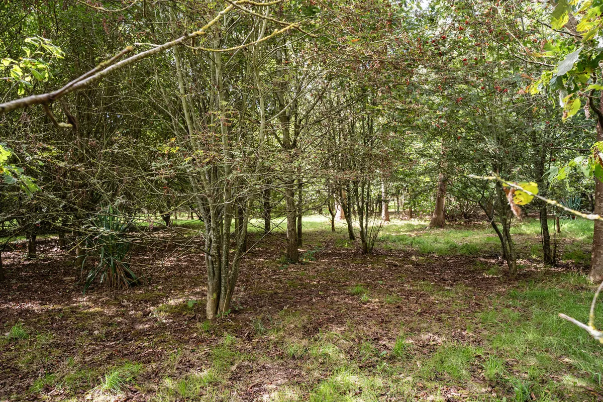 Pershore Lane, Martin Hussingtree, WR3, photo 25