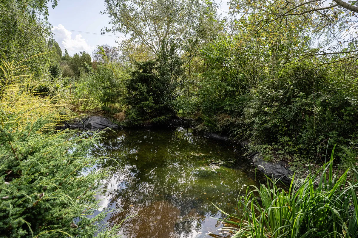 Pershore Lane, Martin Hussingtree, WR3, photo 24