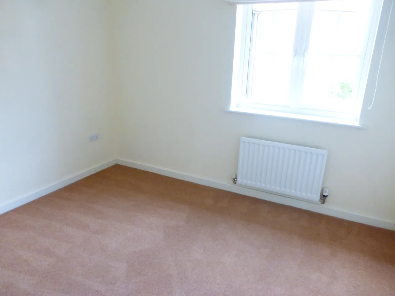 Larch Way, Red Lodge, BURY ST. EDMUNDS, photo 5
