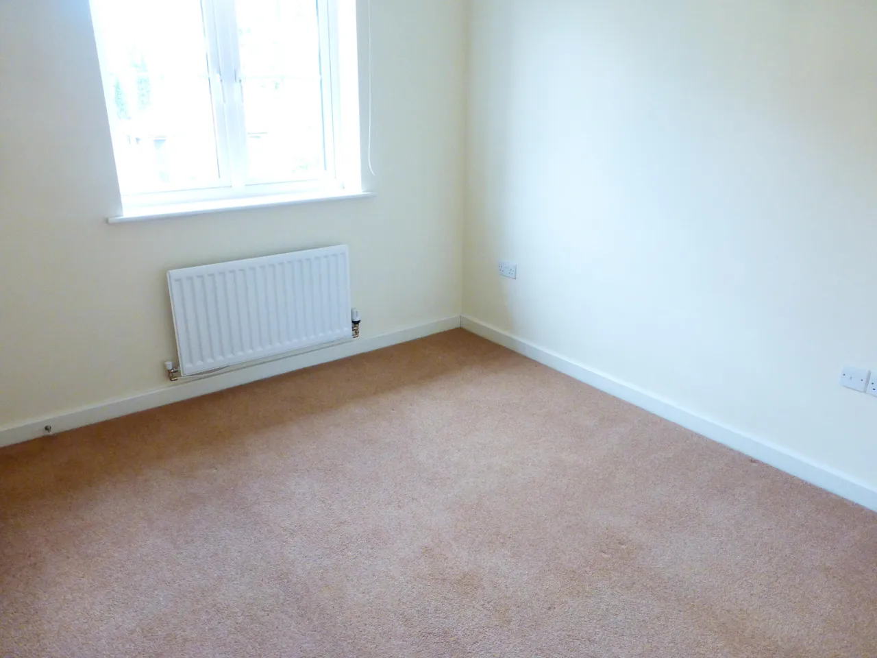 Larch Way, Red Lodge, BURY ST. EDMUNDS, photo 4