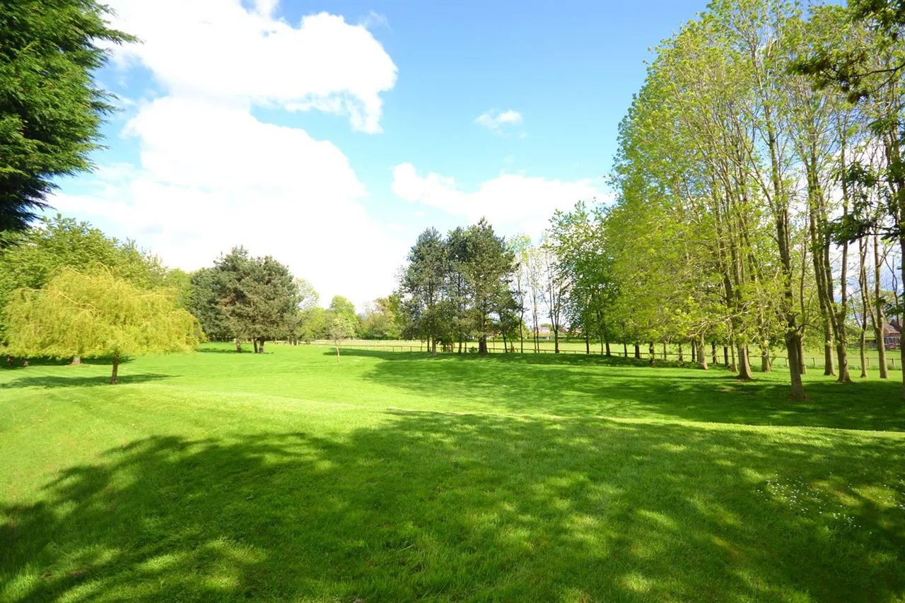 The Beeches Warford Park Faulkners Lane, Knutsford, photo 9